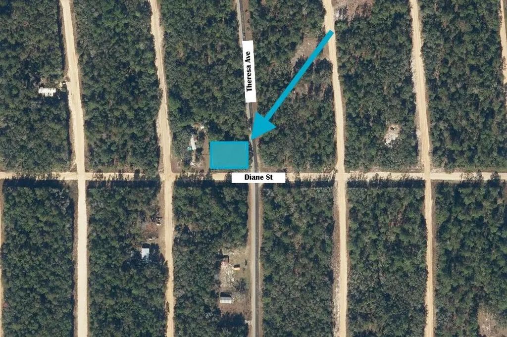 Tbd Theresa Avenue, Interlachen