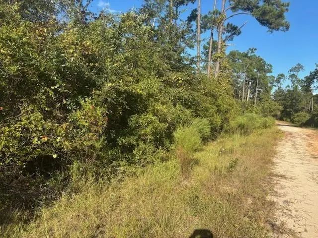 0 Mulberry Drive, Marianna