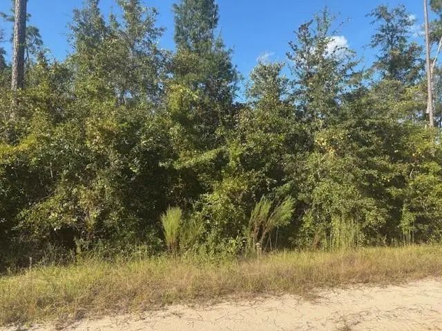 2 of 4 - 0 Mulberry Drive, Marianna, FL