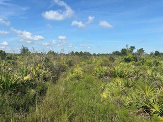 Photo of Listing #F10524033