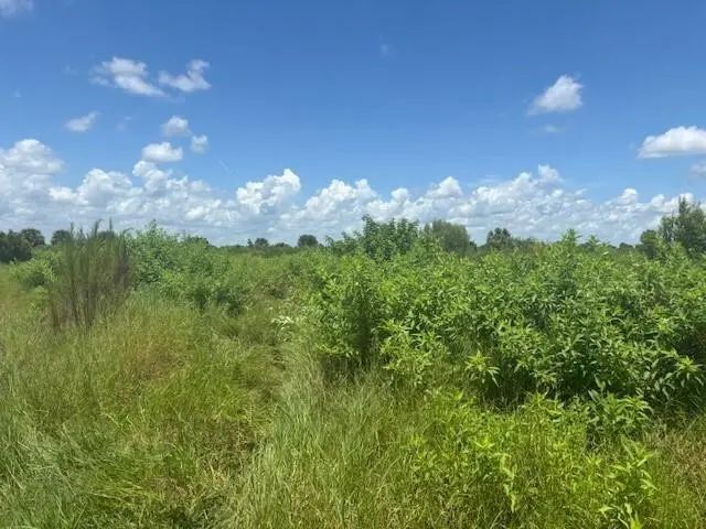 0 Nw 318th Street, Okeechobee