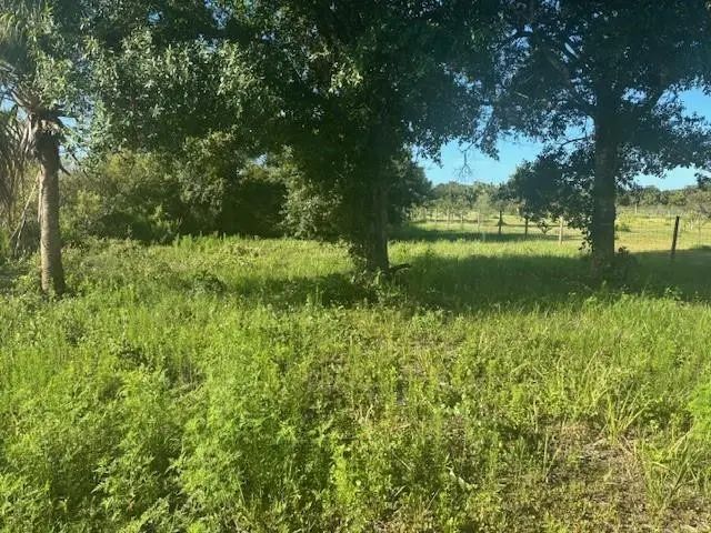 19216 Nw 300th Street, Okeechobee