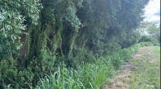 Photo of Listing #F10524664