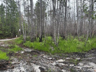 Photo of Listing #F10524836