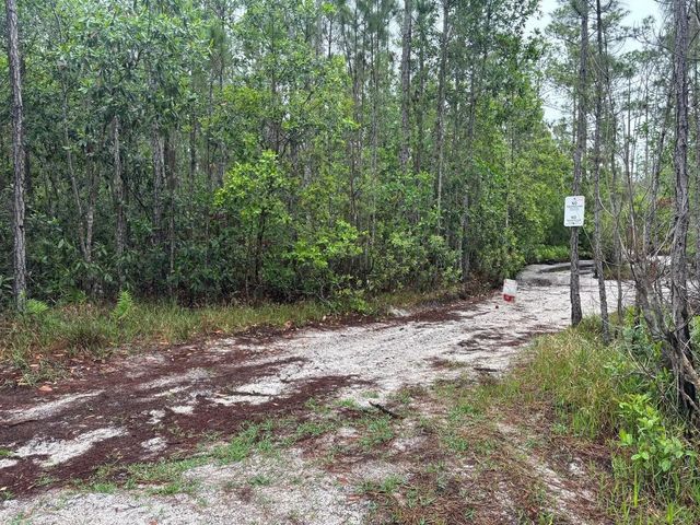 2 of 3 - 0 Holopaw Groves Road, St. Cloud, FL