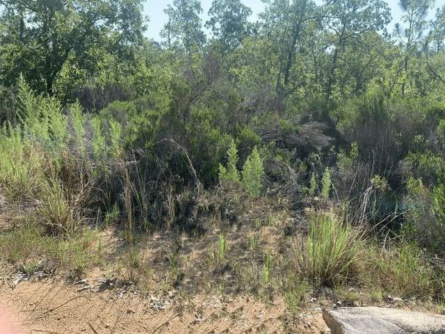 214 Marion Trail, Interlachen