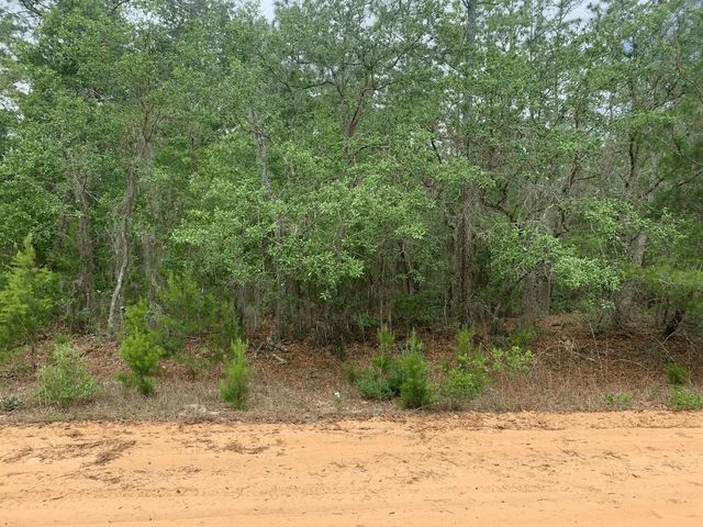 0 David Avenue, Interlachen