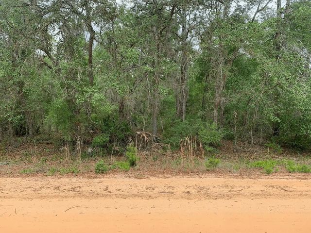 0 David Avenue, Interlachen