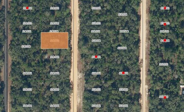 2 of 2 - 0 David Avenue, Interlachen, FL