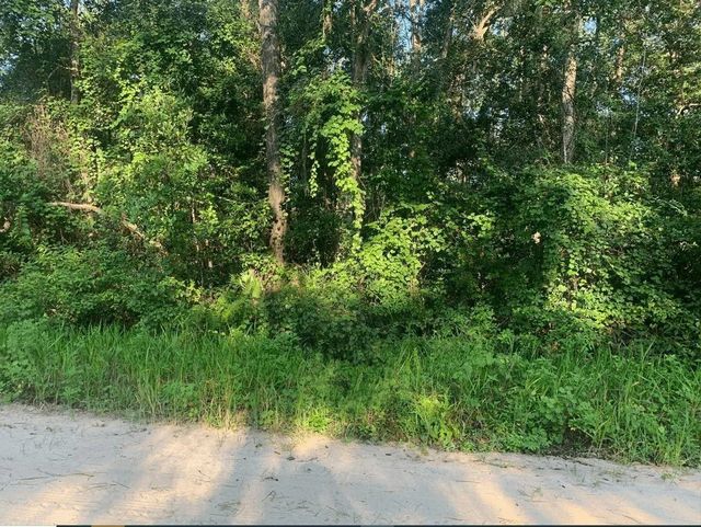 0 Ida Boulevard, Interlachen
