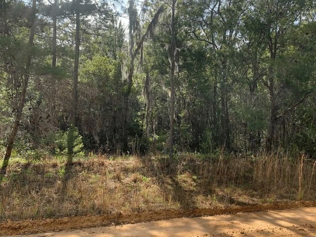 0 Shappell Avenue, Interlachen
