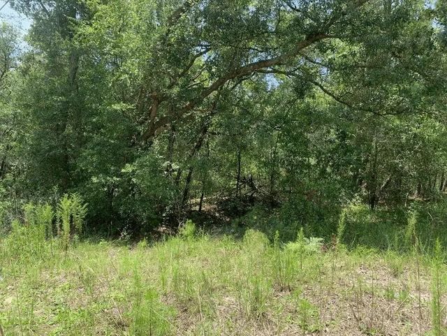 0 Oklahoma Avenue, Satsuma