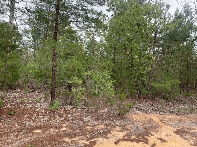 0 Gray Street, Interlachen