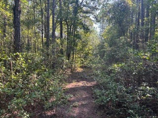 Photo of Listing #F10525523