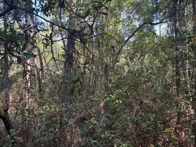 2 of 3 - 224 Se 8th Avenue, Palatka, FL