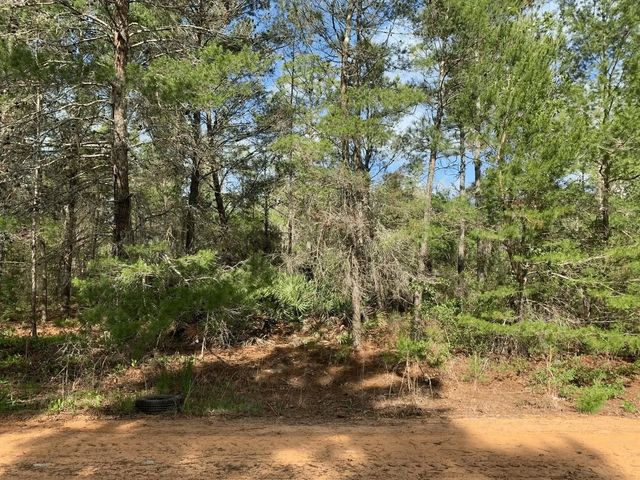 0 Louise Avenue, Interlachen