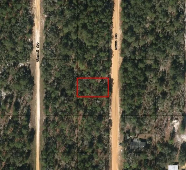 2 of 2 - 0 Louise Avenue, Interlachen, FL
