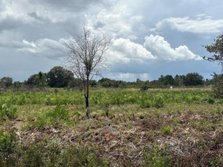 Photo of Listing #R11122187