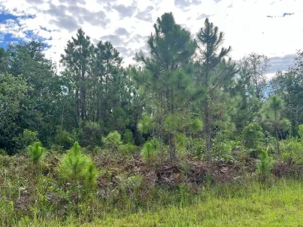1131 Greenfield Street, Lake Placid