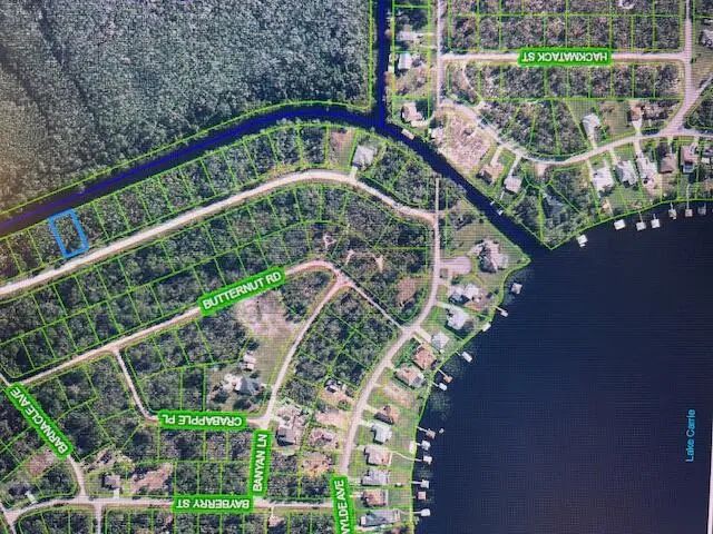 3 of 13 - 1131 Greenfield Street, Lake Placid, FL
