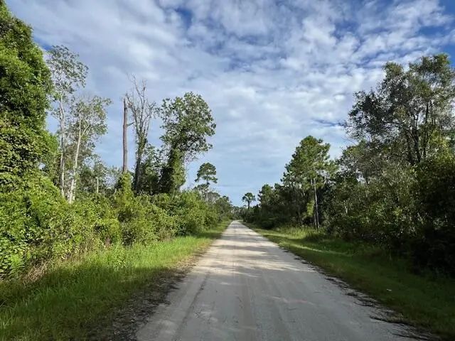 4 of 13 - 1131 Greenfield Street, Lake Placid, FL