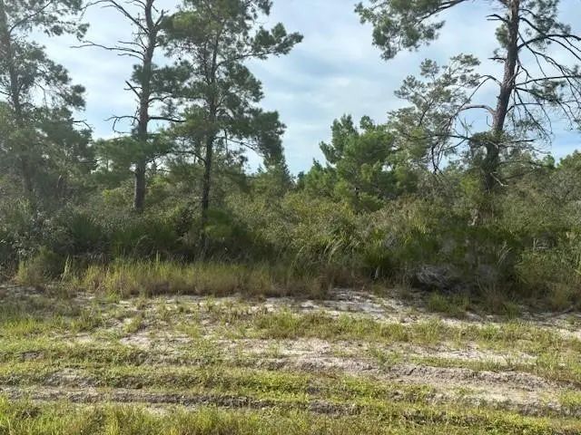 0 Cypress Street, Interlachen