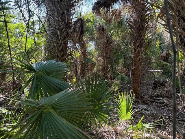 3 of 4 - 3223 Sw Mockingbird Avenue, Palm Bay, FL