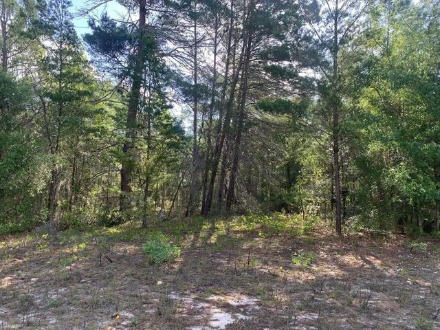 0 Evans Avenue, Interlachen