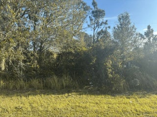 Photo of Listing #F10526858