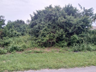 Photo of Listing #R11124775