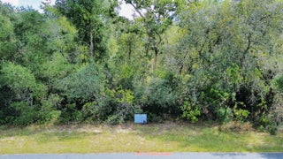 Photo of Listing #R11126142