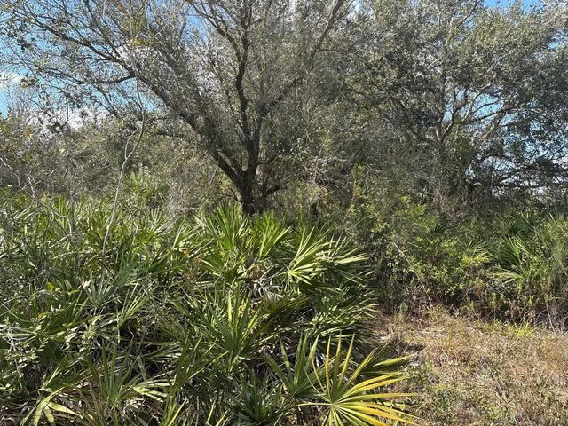 2 of 3 - 0 Nw 300th Street, Okeechobee, FL