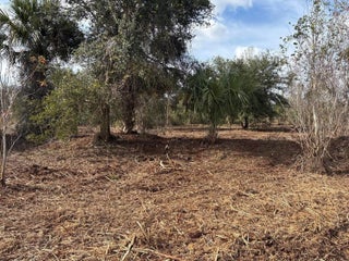 Photo of Listing #F10528278