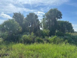 Photo of Listing #F10528318