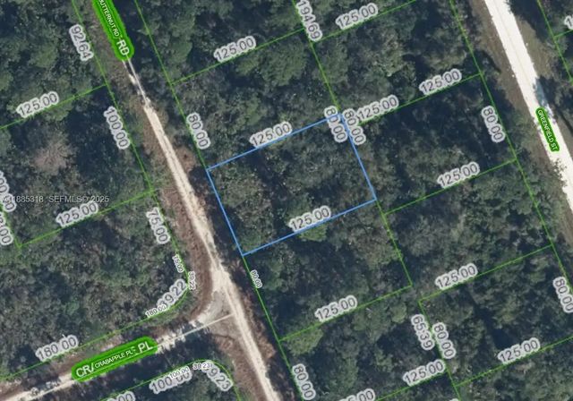 1131 Butternut Road, Lake Placid