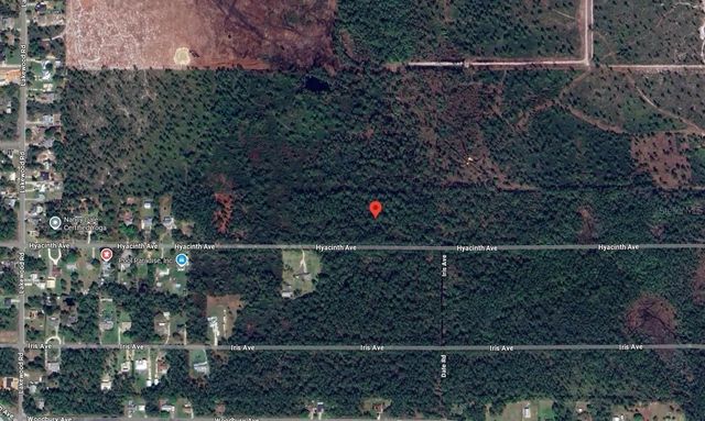1016 Hyacinth Avenue Avenue, Sebring