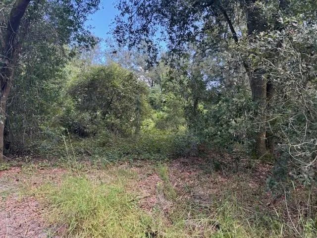 0 County Rd 54, Kathleen