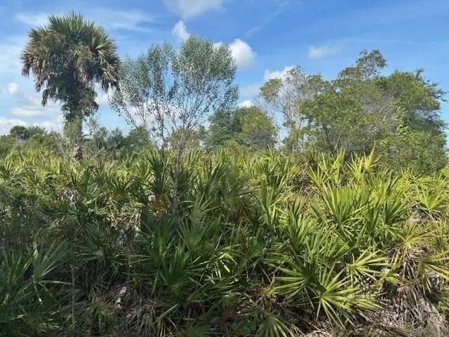 0 Nw 310th Street, Okeechobee