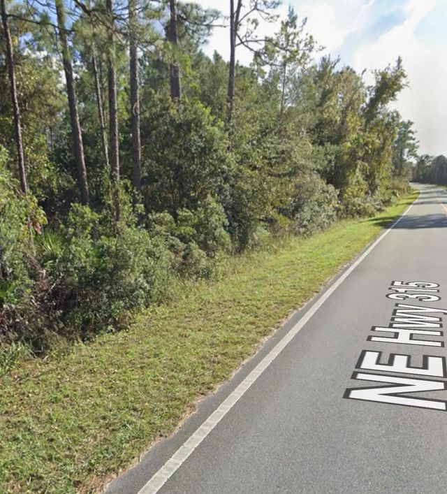 2 of 3 - 0 Ne 315 Hwy, Fort McCoy, FL