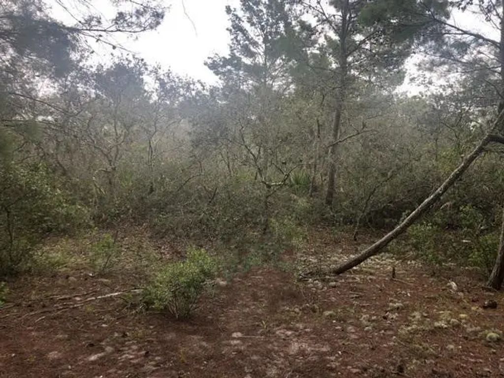 0 Alturas Babson Park Cutoff Road, Lake Wales