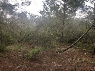 Photo of Listing #F10530325