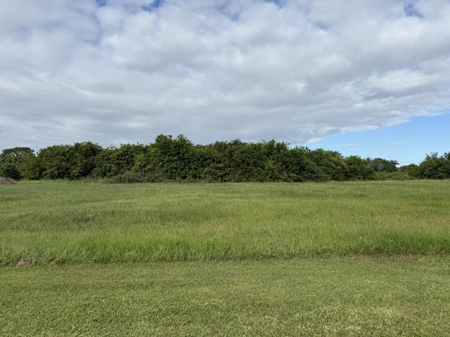 Photo of Listing #R11131056