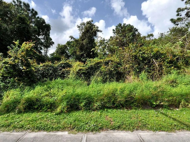 Photo of Listing #R11131074