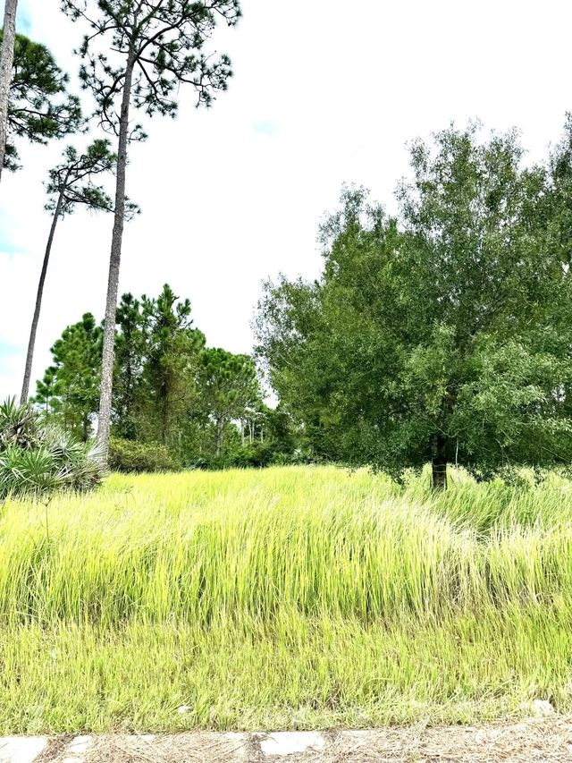 2 of 16 - 10615 Sugar Pine Drive, Fort Pierce, FL