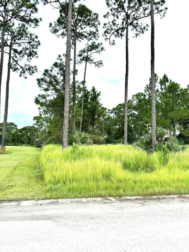 3 of 16 - 10615 Sugar Pine Drive, Fort Pierce, FL