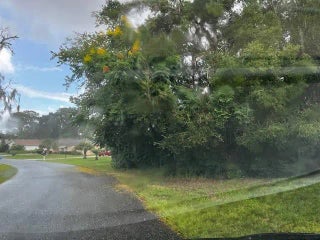 Photo of Listing #F10530362