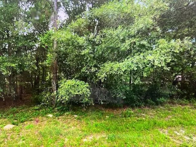 2 of 4 - 9550 N Quarry Drive, Citrus Springs, FL