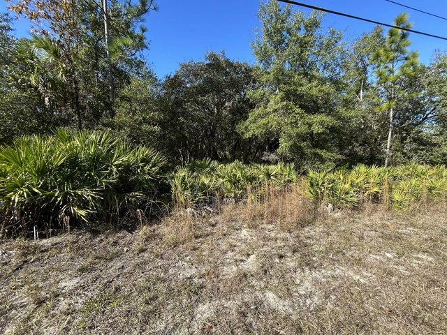 632 N Dunkenfield Avenue, Crystal River