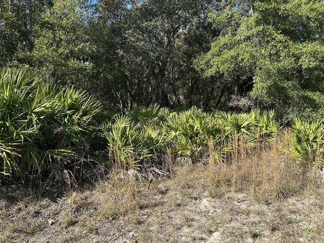 2 of 8 - 632 N Dunkenfield Avenue, Crystal River, FL