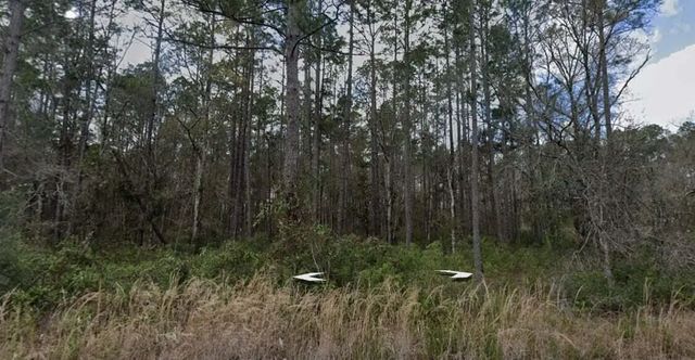 3 of 4 - 10275 Hennessey Avenue, Hastings, FL